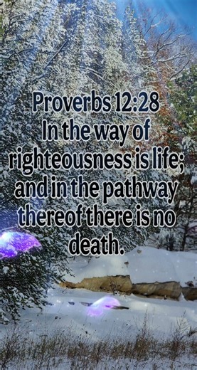 Proverbs 12:28 #kjv #GodsWord