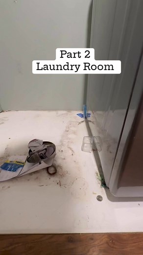 Part 2 Laundry Room Cleanup #crazycleaningladytips #crazycleaninglady222 #cleaninghouse #cleaninghacks #cleaningmotivation #cleaning | Samantha R Mancuso