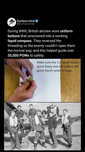 The Button That Was Also a Compass