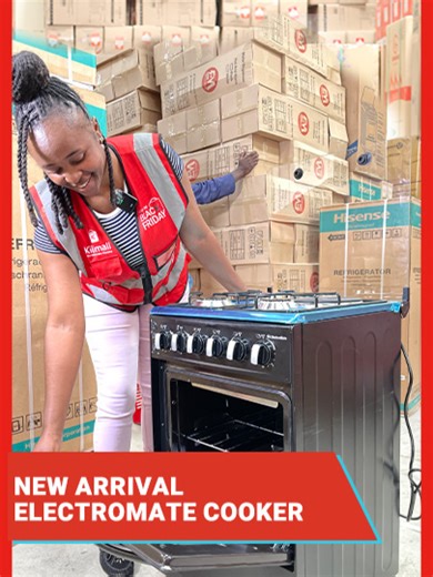 Electromate 3 1 Standing Cooker for Every Household