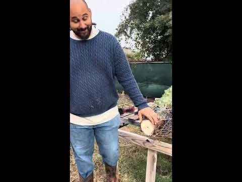 How to Properly install a metal tree stand into a Christmas Tree. Using a drill and a saw