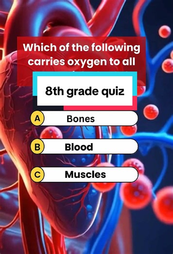 quiztime214 على TikTok