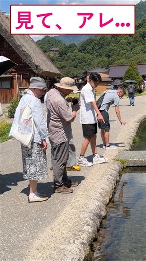 [見て、アレ...]外国人観光客は、初めて白川郷を訪れた際に感銘を受けます！#新幹線#外国人#日本