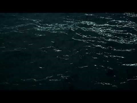 Ocean Waves Night Soundscape • 0.0 Hours • Delta Binaural Beats • Deep Sleep