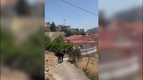 Video shows smoke rising from fire on Greek island of Chios