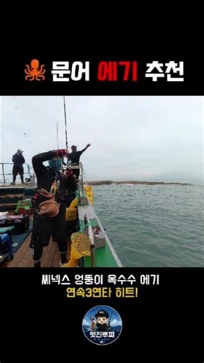 🐙 문어 에기 추천! 씨넥스 엉뚱이 에기로 3연타 성공! 엉뚱이 옥수수 에기1개와 왕눈이 에기 2개의 조합 운이 좋은건지 고패질 후 바로 끈적함에 문어가 ㅎㅎ