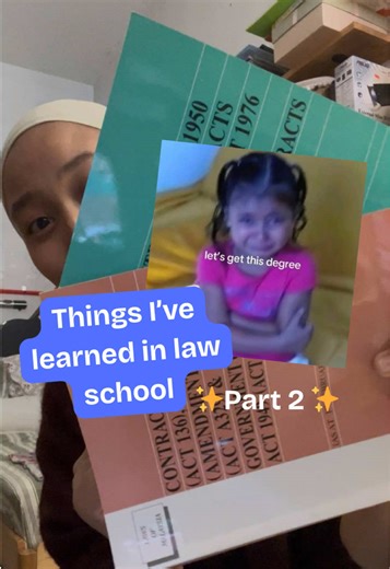 Understanding Statutes in Law School