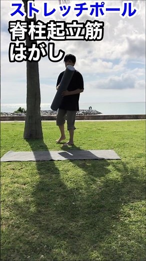 ガチガチの背中ユルユルにほぐす脊柱起立筋はがし【ストレッチポール】 #shorts #肩こり