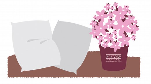 When & How to Fertilize Encore Azaleas