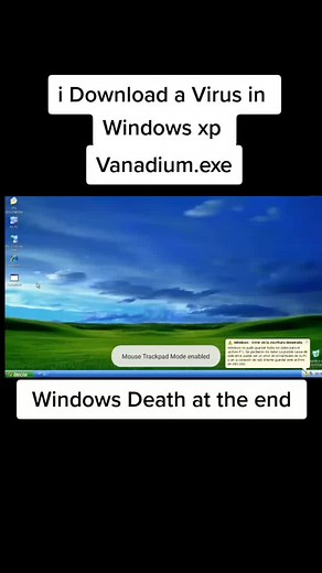 i Download a Virus in Windows xp #dangerous #virus #computervirus #windows #computer #dontmakethis