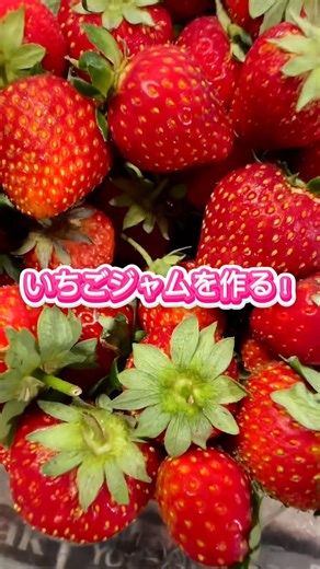 おうちで作るごろごろいちごジャム作り #shorts #いちごジャム #手作り #いちご #採れたて #japan