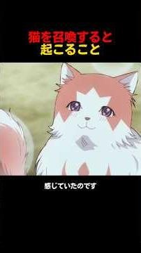 猫を召喚すると起こること