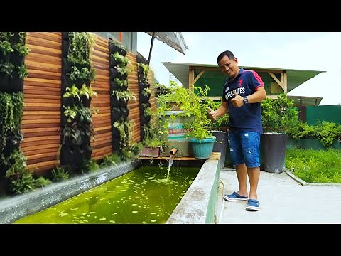 DIY POND FILTRATION SYSTEM using Recycled Materials! Building Another Pond for our Koi fish