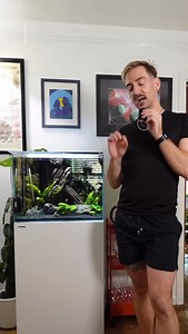 How I use my fish tank water to then water all of my plants in less than an hour 💧 PART 1 Shoutout to @southsideplants for the extra fertilization for this week’s watering. #houseplantclub #fishtank #plantcare #wateringday #brandonbotanical | Brandon Botanical
