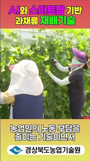 AI and Smart Farm-Based Fruit Vegetable Cultivation Technology - Agri-Easy