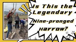 2.4M views · 10K reactions | Competent Women #scenery #manuallabor #Farmland #风景 #劳作 #农田 | Baursak | Facebook