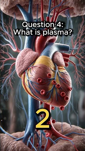 Think you know the circulatory system? Test your knowledge of the heart and blood flow in this quiz🙂