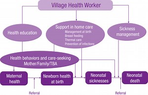 Save Newborn Lives with Home-Based Care Packages - Center for High Impact Philanthropy - University of Pennsylvania