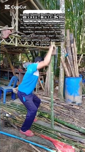 manual bamboo shoots cutting #shortsfeed
