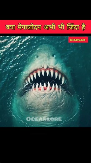 🦈 The Biggest Shark That Ever Lived 😱 | Megalodon Mystery 🌊