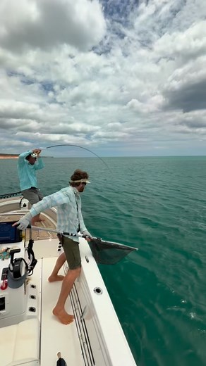 Tim of @worldcast_anglers finally completed his journey of landing all 4 Permit subspecies worldwide on a recent trip visiting @aussieflyfisher at @thecapelodge. Congrats Tim, well done! 🎥 @mpdslvrfox #ScientificAnglers #SaltwaterFlyFishing #AnakPermit #TheBig4 | Scientific Anglers