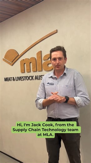 Make sure to visit the Objective Measurement hub at MLA Updates this year to see the latest advancements in live animal measurement technologies! 🔬 | Meat & Livestock Australia