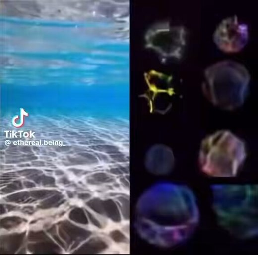 @mamacita4life2 Take a look at stars through a telescope and not from NASA….They refract light like a swimming pool under the sun…Yes we live under a dome underneath water, as it’s written in the Bible.