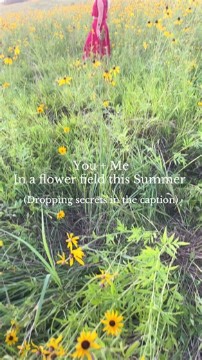 Descubriendo mi campo de flores este verano