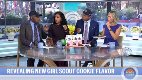 What to Know About the New Girl Scout Cookie Exploremores