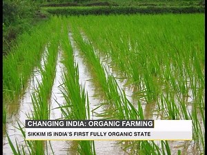 Changing India: The future of organic farming in India