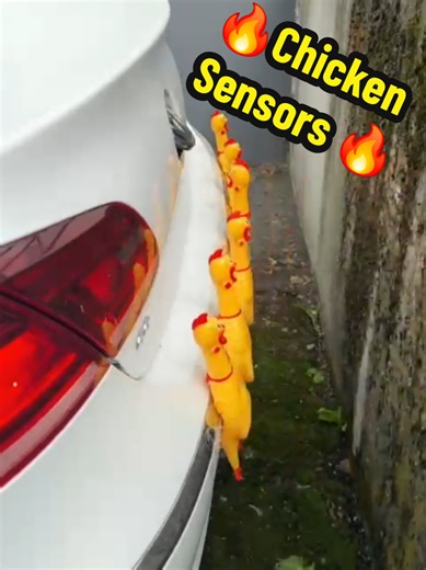 Chicken Sensors: Innovative Technology Explained