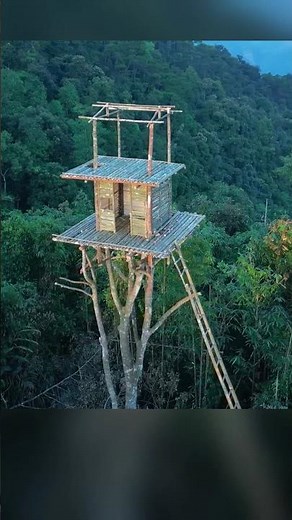 AMAZING little tree house built over 50 feet #survival #outdoors #bushcraft #camping