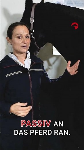 🏥 MEDICAL TRAINING: Vorbereitet zum Tierarzt! 🩺