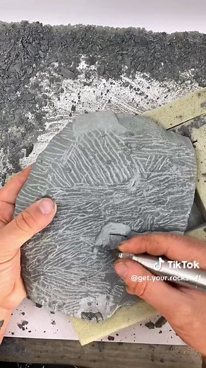 How to Identify Fossils in Rocks: A Beginner's Guide