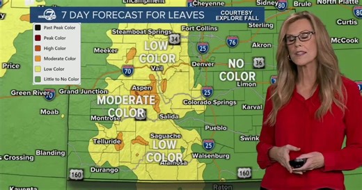 🍁 Leaf it to Colorado 🍁 Your guide to the fall foliage frenzy