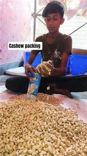 cashew packing ✅