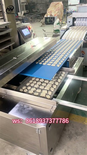Automatic Soft Cookie Plating & Forming Machine | Full Automation ProductionLine#doughmixer #oven