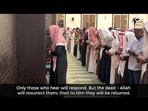 Calming Quran recitation by 'Abdullah Al-Musa | Surah Al-An'am 25-45