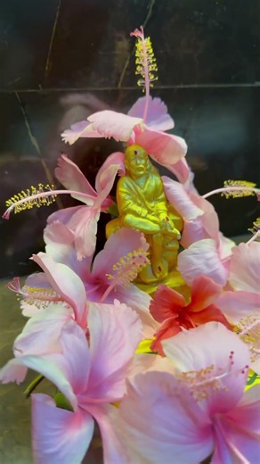 Sai Baba Aarti & Darshan | Divine Blessings for All #SaiBaba #ShirdiSaiBaba #OmSaiRam #SaiRam