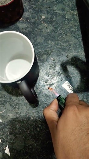 life is not easy. #life #lighter #cocroach #cleaning