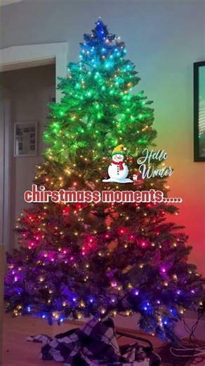 Christmas Moments That Touch the Heart