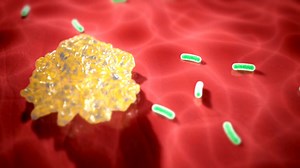 Science Stories on Reels