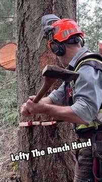 #logger #husqvarna #572 #firewood #treework #timberfaller #chainsaws #evolve #love #buckin