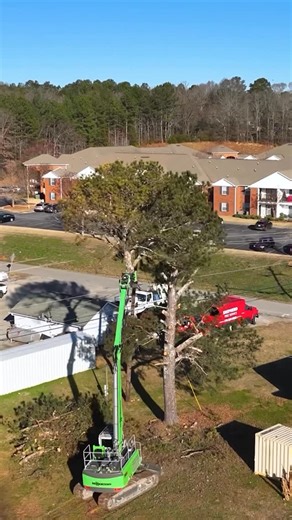 Sennebogen Tree Care Division on Instagram: "Bushy pine next to the power lines! Some removals are really just true SENNEBOGEN TREES 😎💪 #sennebogen718 #sennebogen #treework #treeremoval #heavyequipment"