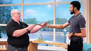 Snakes on the loose! (And what to do if you find one in your bed...)