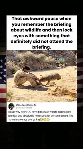 That awkward pause when you remember the briefing about wildlife and then lock eyes with