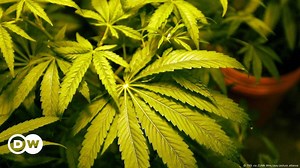 The many facets of alternative medicine