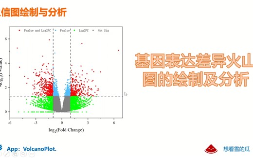 基因表达差异火山图的绘制及分析-Origin绘制火山图