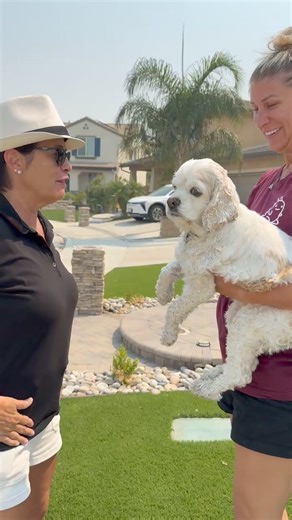 Camp Cocker Rescue on Reels