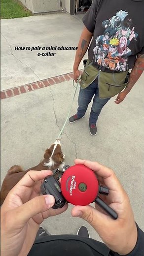 How to pair a mini educator to a new remote E-Collar